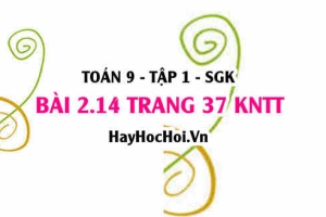 Bài 2.14 trang 37 Toán 9 tập 1 Kết nối tri thức